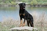 BEAUCERON 627